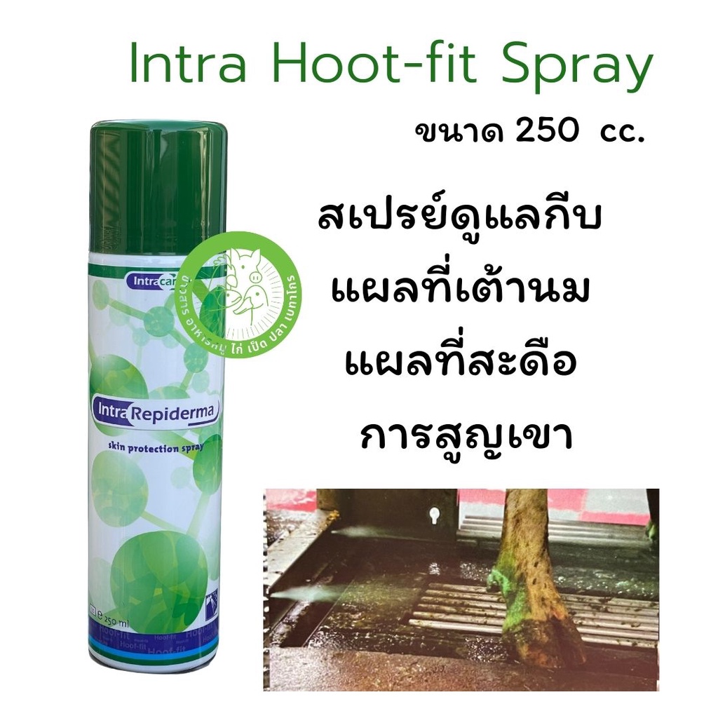 อินตร้า-รีพิดเดอร์ม่า-intra-repiderma-สเปรย์ดูแลบำรุงกีบ-แผลที่เต้านม-แผลที่สะดือและการสูญเขา