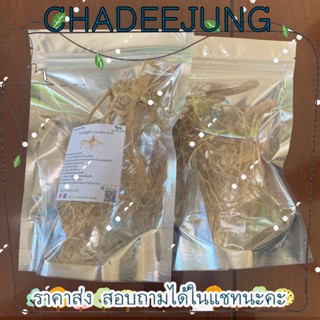 รากชาอบแห้ง ขนาด 10 กรัม บรรเทาอาการจุกเสียดท้อง แน่นท้อง