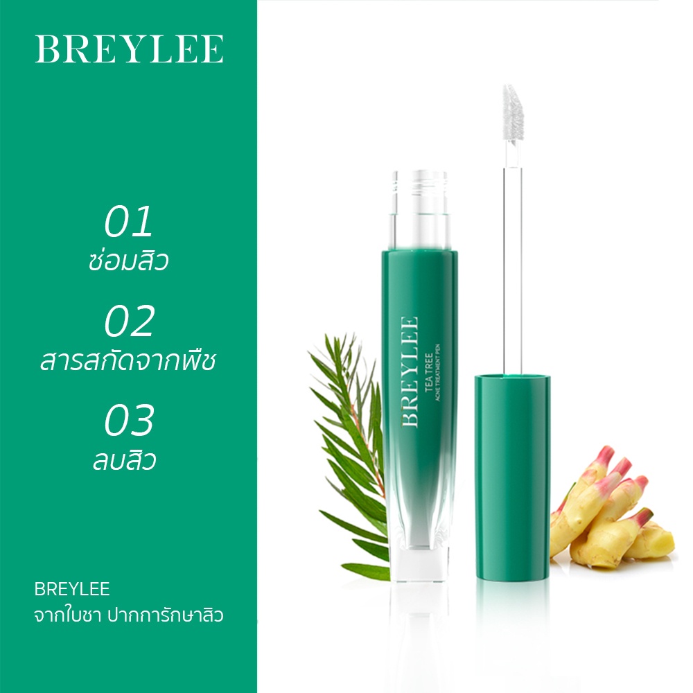 breylee-ปากการักษาสิว-กําจัดสิวเสี้ยน-ทําความสะอาดรูขุมขน-ดูแลผิวหน้า-acne-treatment-pen-5g