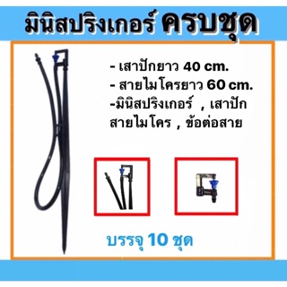 มินิสปริงเกอร์ ชุด ขาปักมินิสปริงเกอร์  รุ่นไชโย พร้อมขาปัก + สายไมโครสูง 40 cm. สายยาว 60 cm. ( ครบชุด )(10ชุด)(50ชุด)