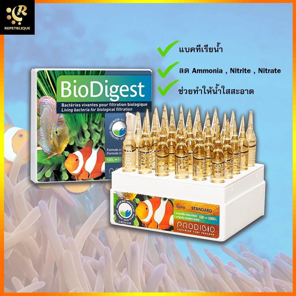 Prodibio BioDigest แบคทีเรีย น้ำใส ช่วยน้ำใส เซ็ตระบบ ลดของเสีย ...
