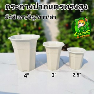 กระถางทรงเหลี่ยมปากแตร กระถางแคคตัส ทรงสูงขนาด2.5"/3"/4"