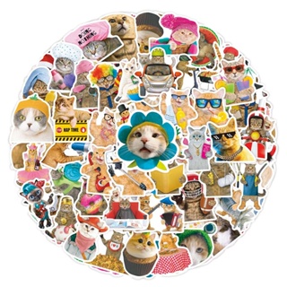 ภาพหน้าปกสินค้าสติกเกอร์ ลายแมวคิตตี้น่ารัก สําหรับติดตกแต่งโทรศัพท์มือถือ แล็ปท็อป หมวกกันน็อค กระเป๋าเดินทาง 50 ชิ้น ที่เกี่ยวข้อง