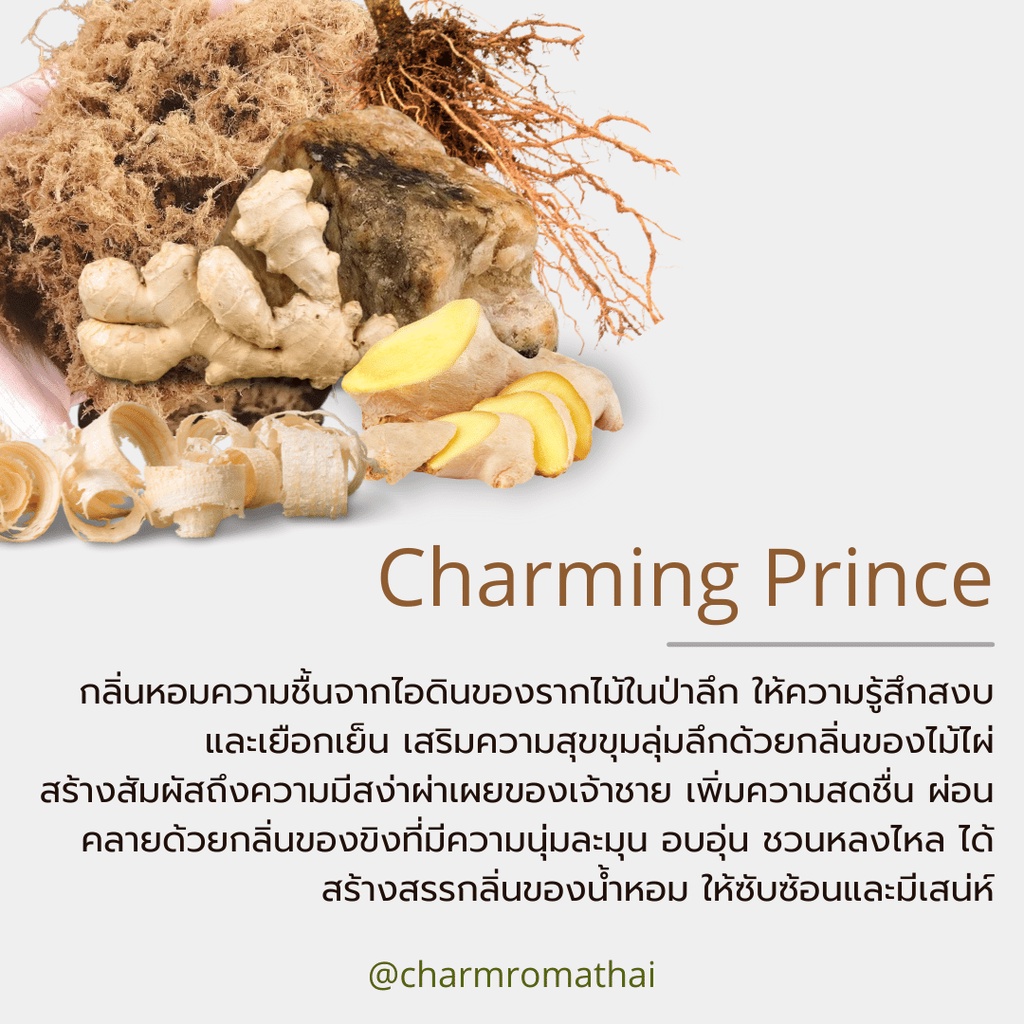 charmroma-charming-prince-spray-air-conditioning-ชาร์มโรม่า-สเปรย์ปรับอากาศ-กลิ่นชาร์มมิ่ง-ปรินซ์-ขนาด-250-ml