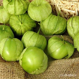 ผลิตภัณฑ์ใหม่ เมล็ดพันธุ์ 2022เมล็ดอวบอ้วน โทมาทิลโล่ สีเขียว (Green Tomatillo Seed) บรรจุ 20 เมล็ดเมล็ดอวบอ้วน /กะเพรา