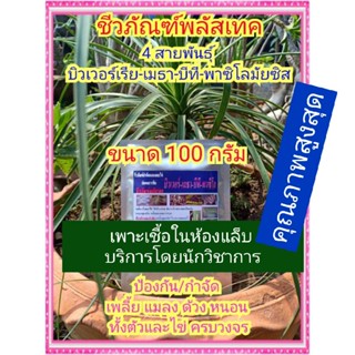 ชีวภัณฑ์พลัสเทค ขนาด 100 กรัม (4 สายพันธุ์ บิวเวอร์เรีย เมธาไรเซียม บีที และพาซิโลมัยซิส) ปลอดสารพิษ