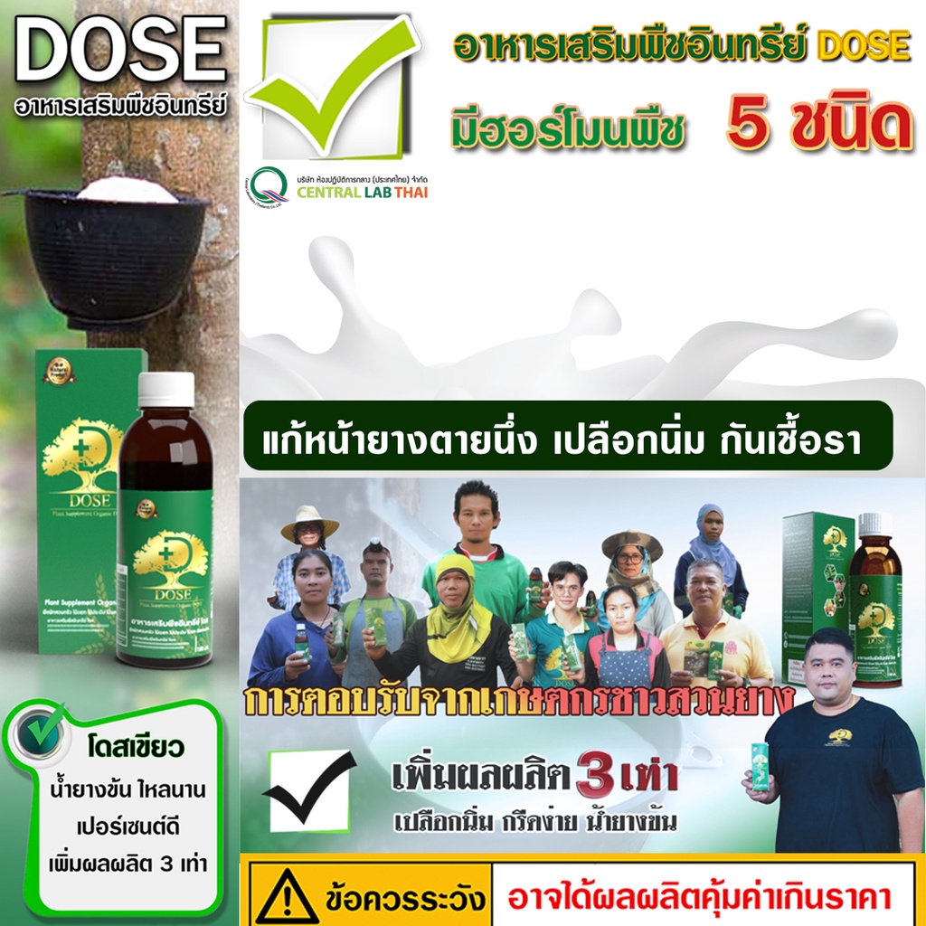 dose-อาหารเสริมพืช-สินค้าเกษตรพรีเมี่ยม-น้ำยางดี-น้ำยางไหลดี-ผลผลิตดี-แก้หน้ายางตายนึ่ง-เชื้อรา