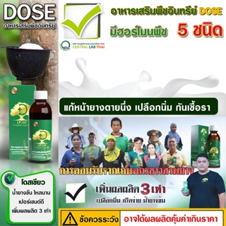 DOSE อาหารเสริมพืช  สินค้าเกษตรพรีเมี่ยม น้ำยางดี น้ำยางไหลดี ผลผลิตดี แก้หน้ายางตายนึ่ง เชื้อรา