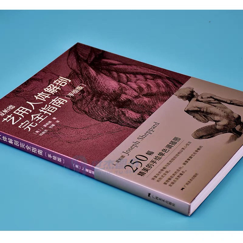 หนังสือศิลปะ-guide-to-human-anatomy-for-artistic-use-โดย-j-sheppard-ภาพคน-ร่างกาย-หนังสือสอนวาดรูป-สรีระ-กล้ามเนื้อ