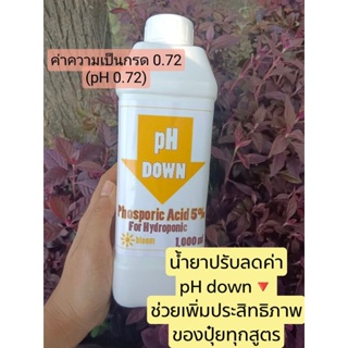 (ช่วงทำดอก)PH DOWN ชนิดกรดฟอสเฟอริก 5% H3PO4 เจือจาง 5%