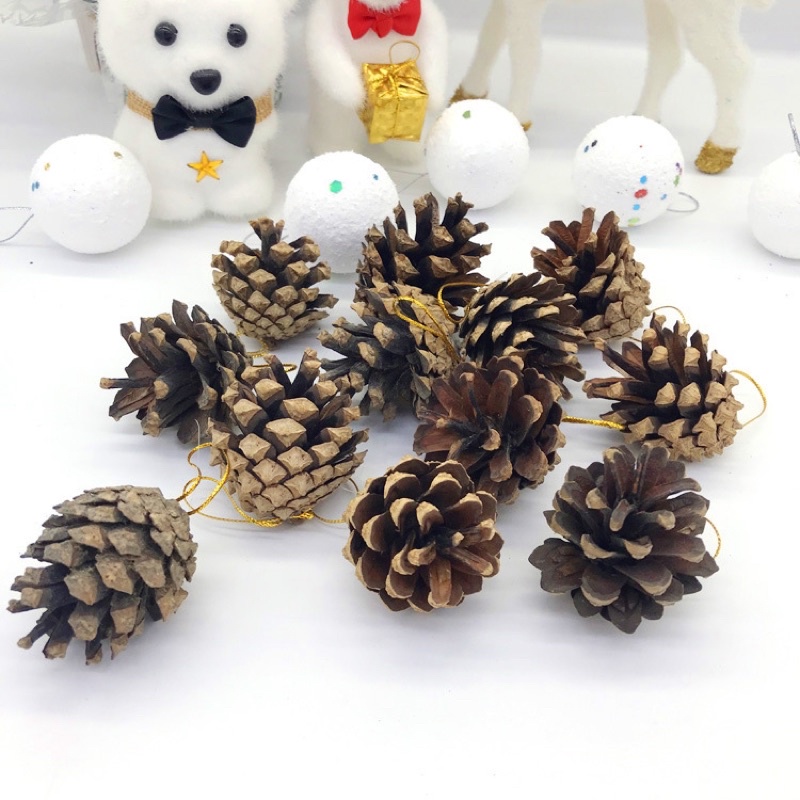 ลูกสน-ลูกสนทอง-ลูกสนหิมะ-ตกแต่ง-ต้นคริสต์มาส-pine-cone-คริสต์มาส