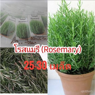 ผลิตภัณฑ์ใหม่ เมล็ดพันธุ์ 2022เมล็ดอวบอ้วน โรสแมรี่ Rosemary สมุนไพรฝรั่ง 25-30 เมล็ดเมล็ดอวบอ้วน 100% รอคอยที่ /งอก POD