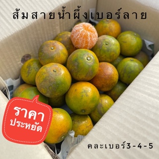 สินค้า ส้มสายน้ำผึ้งเบอร์ลาย ราคาประหยัด‼️ รวมไซต์