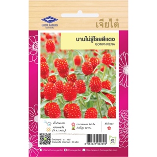 เมล็ดพันธุ์ บานไม่รู้โรยสีแดง 0.1 กรัม (20 เมล็ด)/ซอง ตราเจียไต๋