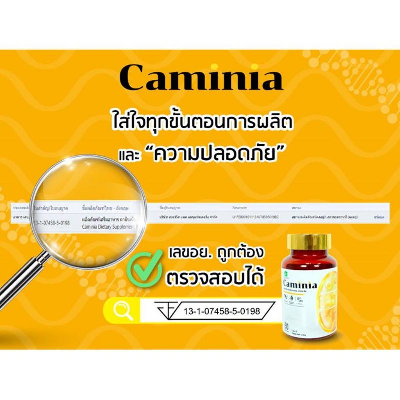 ภาพสินค้าคามิเนีย (caminia)​ ขนาด​ 60​ แคปซูล​ ของแท้​ 100% จากร้าน janggyyyyyy บน Shopee ภาพที่ 2