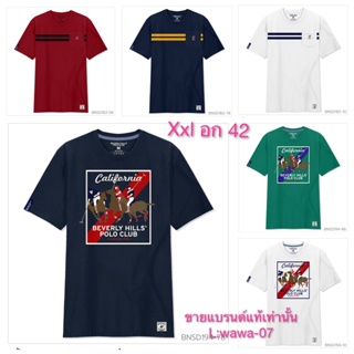 เสื้อยืดPolo Bear BEVERLY HILLS POLO CLUB Size Xxl อก 42 (ขายแบรนด์แท้เท่านั้น‼️)