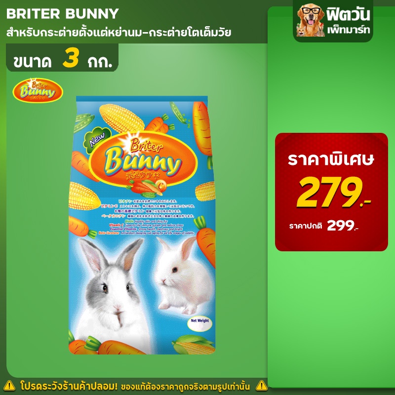 briter-bunny-กระต่าย6เดือนขึ้นไป-3-กิโลกรัม