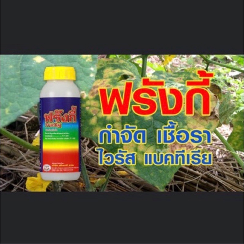 ฟรังกี้-แม็กซาโก้-กำจัดเชิ้อรา-แบคทีเรีย-ไวรัส-ขนาด-500ซีซี