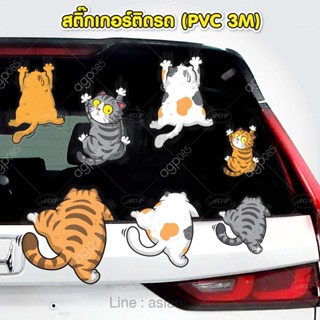 สติ๊กเกอร์ติดรถ PVC 3M สำหรับตกแต่งรถยนต์