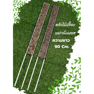 หลักไม้เลื้อยสแฟกนั่มมอส(ขนาดเล็กความยาว90cm.