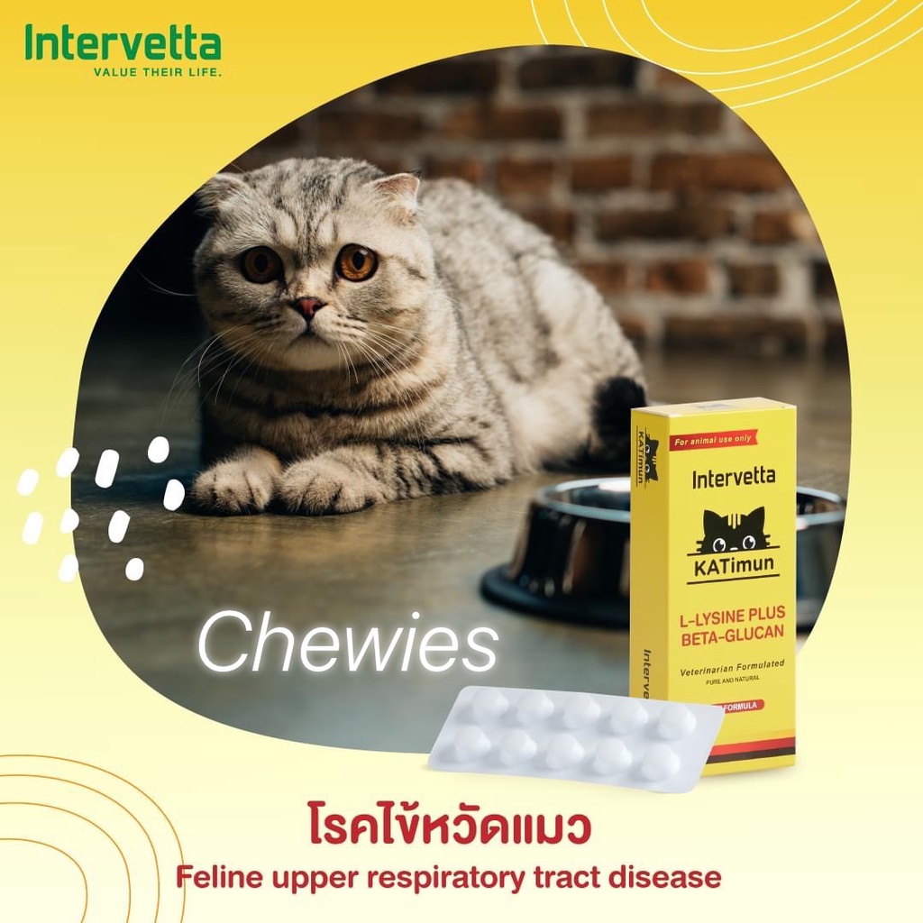 katimun-อาหารเสริมภูมิคุ้มกันแมว-exp-01-2024-ประกอบด้วย-l-lysine-และ-beta-glucan-กล่อง30เม็ด-มีแบ่งขาย