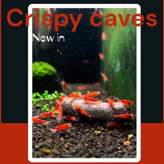 อาหารกุ้งแบบจำลองขอนไม้ Crispy caves