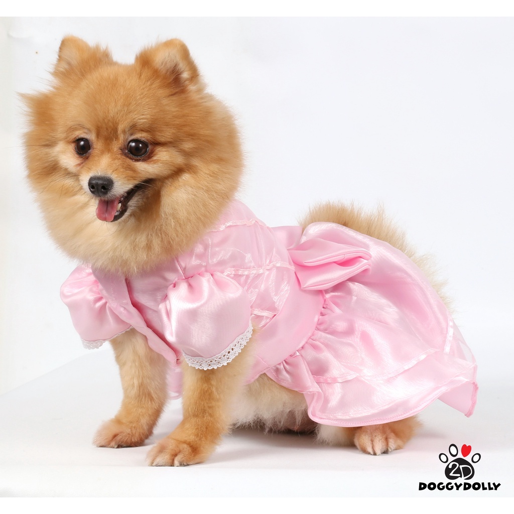 pet-clothes-doggydolly-เสื้อผ้าแฟชั่น-สัตว์เลี้ยง-หมาแมวชุดแต่งงาน-wedding-กระโปรง-ราตรี-สีขาว-ขนาดไซส์-1-9โล-d136