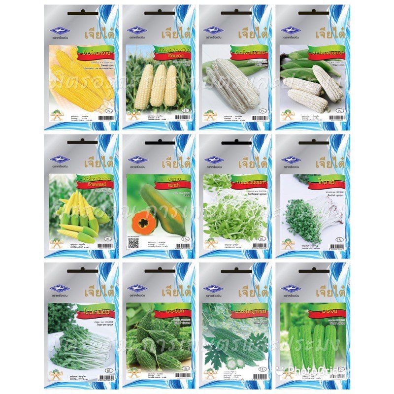 ผลิตภัณฑ์ใหม่-เมล็ดพันธุ์-เมล็ดพันธุ์คุณภาพสูงในสต็อกในประเทศไทย-พร้อมส่งเมล็ดอวบอ้วนเจียไต๋-ผักซอง-8-บาท-ราคาถู-กะเพรา