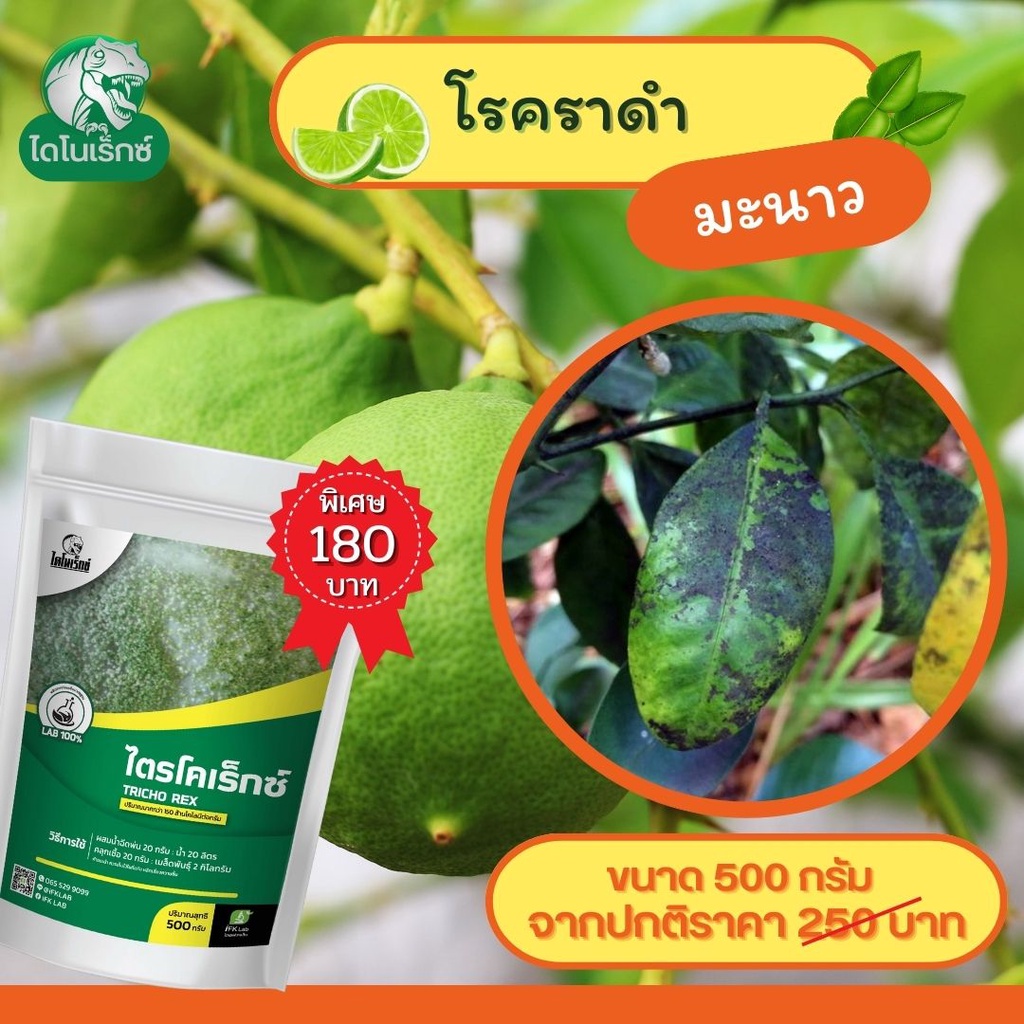 กำจัดเชื้อรา-สาเหตุของโรคราดำ-ในมะนาว-ไตรโคเดอร์มา-ไตรโคเร็กซ์-ปลอดภัยต่อคนและสัตว์เลี้ยง-100