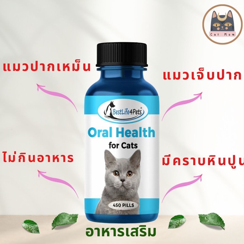 ส่งฟรี-ใช้โค้ด-oral-health-cat-อาหารเสริมดูแลช่องปากแมว