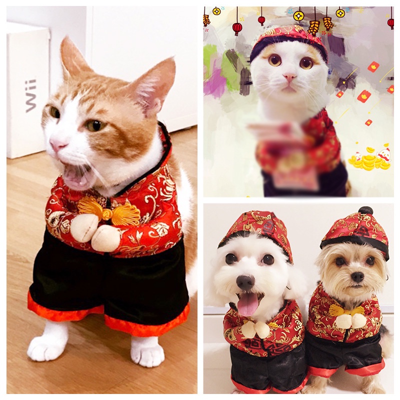 ภาพหน้าปกสินค้าชุดเดรสเท็ดดี้ สี่ขา ขนาดเล็ก แฟชั่นฤดูใบไม้ร่วง และฤดูหนาว สําหรับสัตว์เลี้ยง สุนัข แมว 2023 จากร้าน dingsheng.th.th บน Shopee