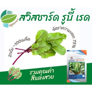 （คุณภาพสูง เมล็ด）สวิสชาร์ด รูบี้ เรด (Swiss Chard Ruby Red)/ง่าย ผัก ปลูก สวนครัว คละ/ง่าย LM9Y