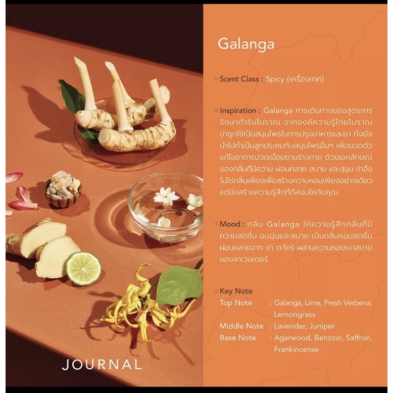 journal-galanga-body-oil-180ml