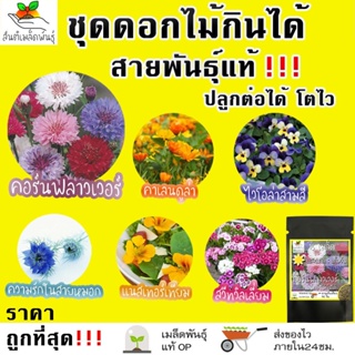 ผลิตภัณฑ์ใหม่ เมล็ดพันธุ์ เมล็ดพันธุ์คุณภาพสูงในสต็อกในประเทศไทย พร้อมส่งเมล็ดอวบอ้วน ชุดดอกไม้กินได้ สายพันธุ์ /งอก O4Q