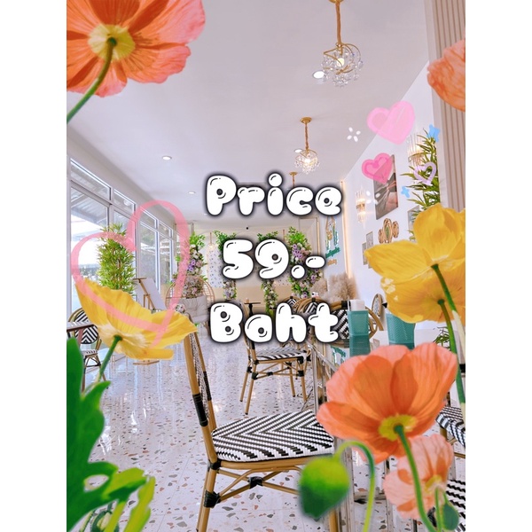 สินค้าราคาพิเศษ-เฉพาะไลฟ์สด-ราคา-59