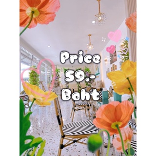 สินค้าราคาพิเศษ เฉพาะไลฟ์สด ราคา 59