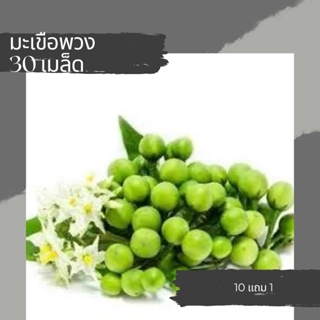 เมล็ดผักมะเขือพวง เมล็ดพันธุ์ผัก เมล็ดผัก 10แถม1 คละได้