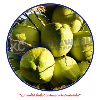 ภาพขนาดย่อของภาพหน้าปกสินค้าA013CC-25G น้ำหอม กลิ่นมะพร้าว : Coconut Fragrance 25 กรัม จากร้าน krungthepchemi บน Shopee