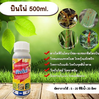 บินโน่ 500ml. ไดฟีโนโคนาโซล+อะซอกซีสโตรบิน สารป้องกันกำจัดโรคพืช กำจัดเชื้อรา โรคกาบใบแห้ง กาบใบเน่า ใบจุดสีน้ำตาล