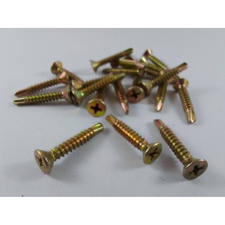 สกรูปลายสว่าน SELF DRILLING SCREW หัวเตเปอร์(FSD) ชุบรุ้ง  ***ราคาต่อแพ็ค***