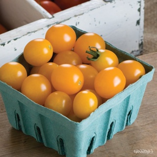 ผลิตภัณฑ์ใหม่ เมล็ดพันธุ์ 2022เมล็ดอวบอ้วน มะเขือเทศ เยลโล่มินิ (Yellow Mini Tomato F1 Seed) บรรจุ 10 เมล็ด คุณภ/ต้นอ่อน