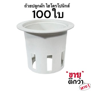 ถ้วยปลูกผักไฮโดรโปนิกส์ 100 ใบ