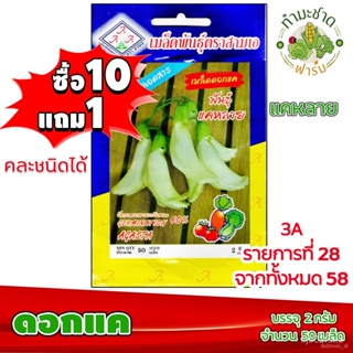 ผลิตภัณฑ์ใหม่ เมล็ดพันธุ์ เมล็ดพันธุ์คุณภาพสูงในสต็อกในประเทศไทย พร้อมส่ง ะให้ความสนใจของคุณ[10แถม1] 3A เมล็ดอว /ต้นอ่อน