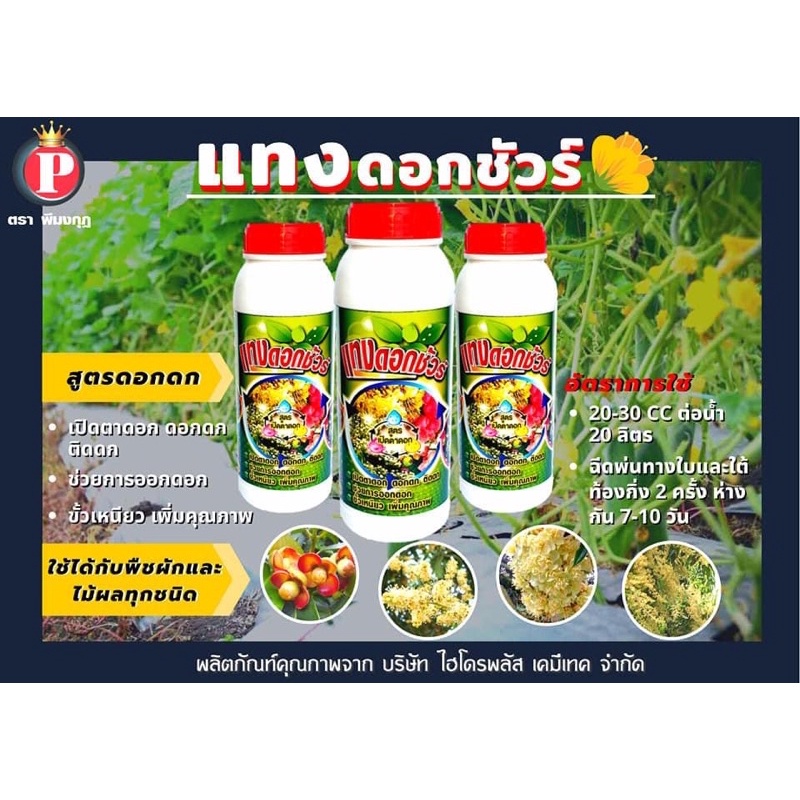 ฮอร์โมนพืช-สูตรเปิดตาดอก-สูตรขยายผล-สูตรเข้าสีผล-สูตรแทงใบ-1-ลิตร