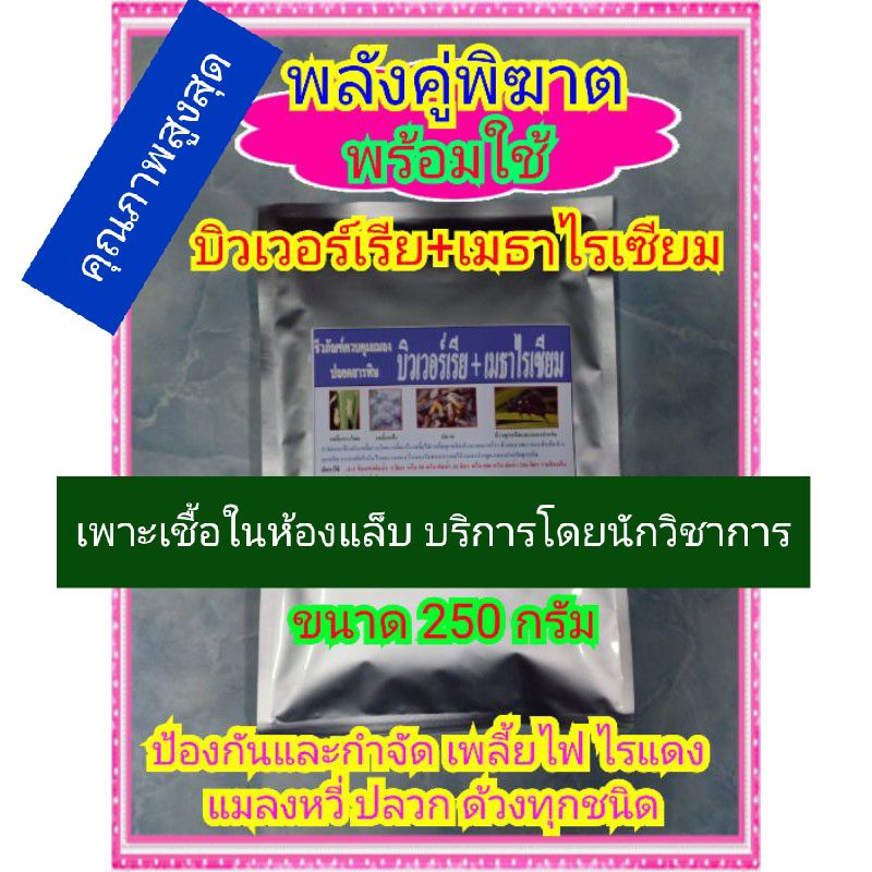 พลังคู่พิฆาต-บีวาเรีย-เมธาไรเซียม-จุลินทรีย์กำจัดเพลี้ยและแมลงทุกชนิด-ขนาดซองละ-250-กรัม