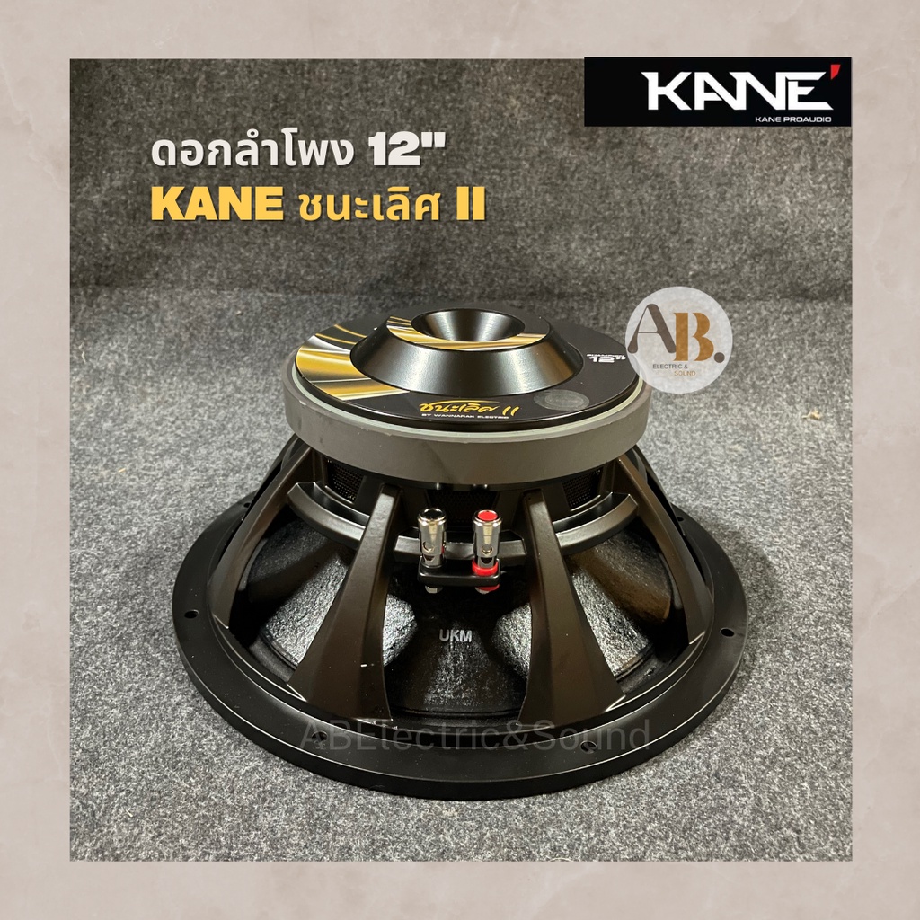 ดอกลำโพง-12-kane-ชนะเลิศii-450w-ดอกลำโพง-12นิ้ว-kane-ชนะเลิศ-mark-ii-450w