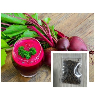 （คุณภาพสูง เมล็ด）เมล็ดพันธุ์ หัวบีทรูท ดีทรอย (Detroit Dark Red Beet) บรรจุ20 เมล็ด/ต้นอ่อน KPCL