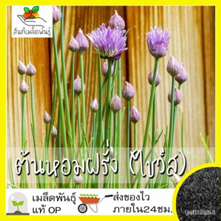 ผลิตภัณฑ์ใหม่ เมล็ดพันธุ์ เมล็ดพันธุ์คุณภาพสูงในสต็อกในประเทศไทย พร้อมส่งเมล็ดอวบอ้วน ต้นหอมฝรั่ง (ไชว์ส) 300 เม/กะเพรา