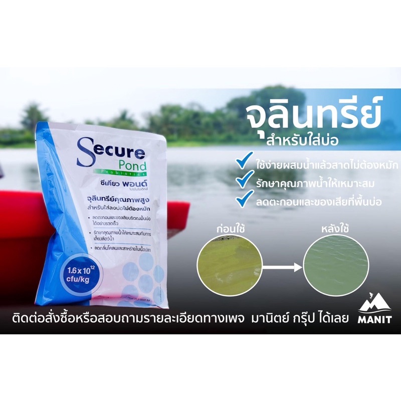 secure-pond-ซีเคียว-พอนด์-จุลินทรีย์ใส่บ่อไม่ต้องหมัก-ลดตะกอน-ของเสียพื้นบ่อ