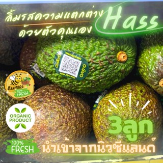 อะโวคาโด สายพันธุ์Hass Extraผลโต200กรัมขึ้น ที่สุดของอาโวคาโดจากนิวซีแลนด์ เนื้อหวานมัน กลิ่นหอมครีม เม็ดเล็ก สดทุกวัน✨